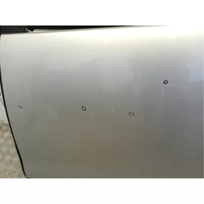 Porta Posteriore Sinistro