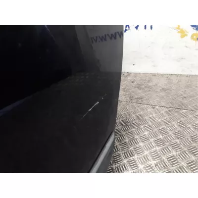 Porta Posteriore Sinistro