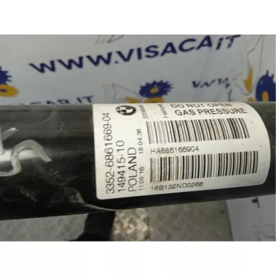 Ammortizzatore Posteriore Sinistro