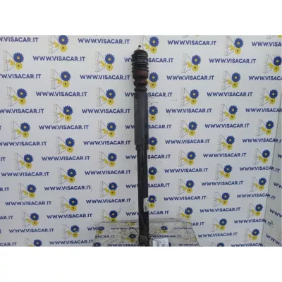 Ammortizzatore Posteriore Sinistro