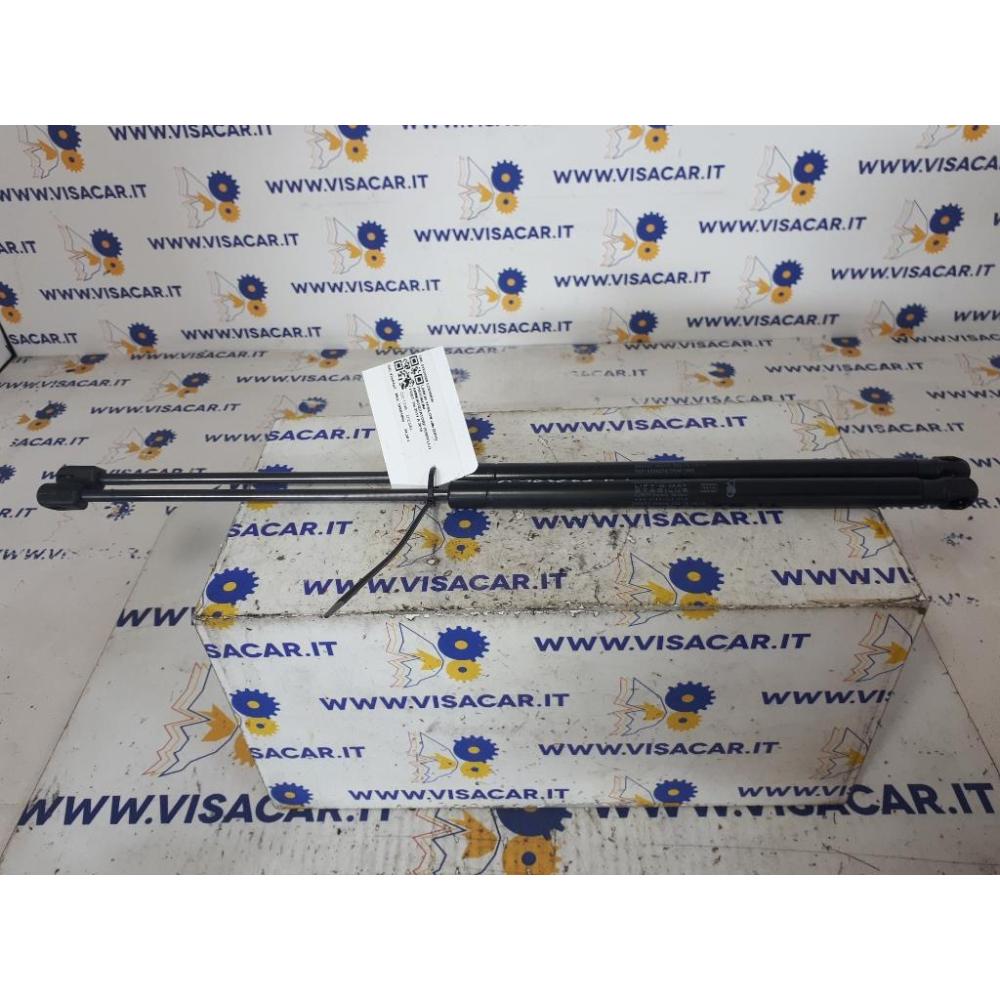 Pistoncini Ammortizzatore Portello Posteriore