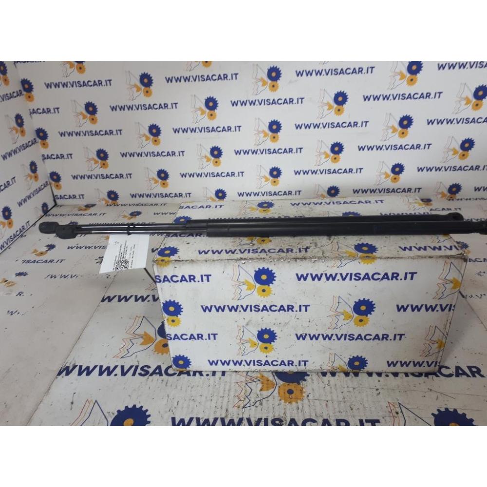 Pistoncini Ammortizzatore Portello Posteriore