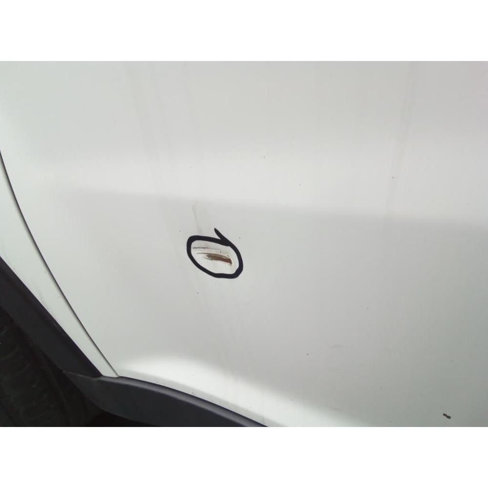 Porta Anteriore Sinistro