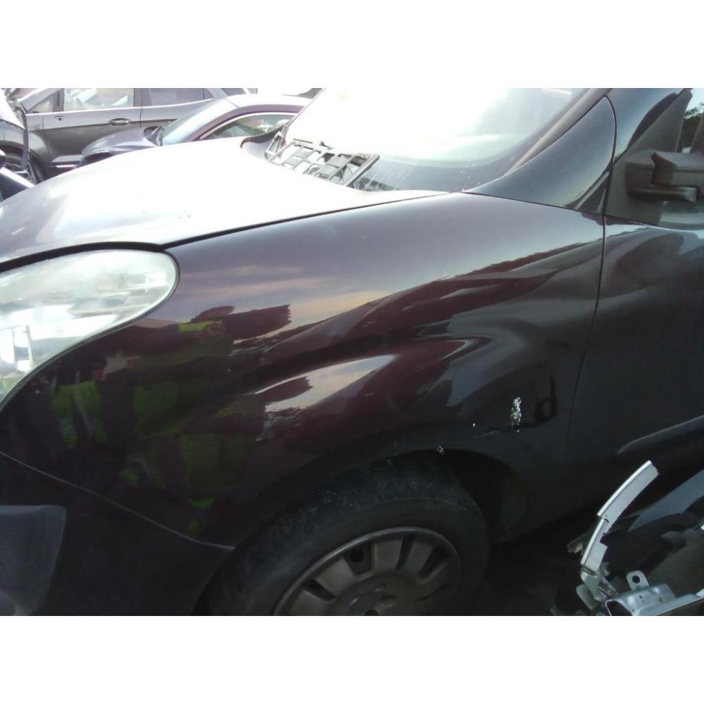 Parafango Anteriore Sinistro