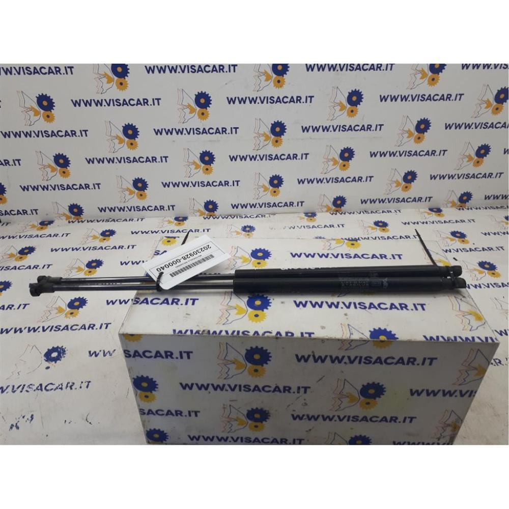 Pistoncini Ammortizzatore Portello Posteriore