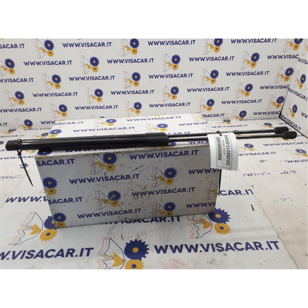 Pistoncini Ammortizzatore Portello Posteriore