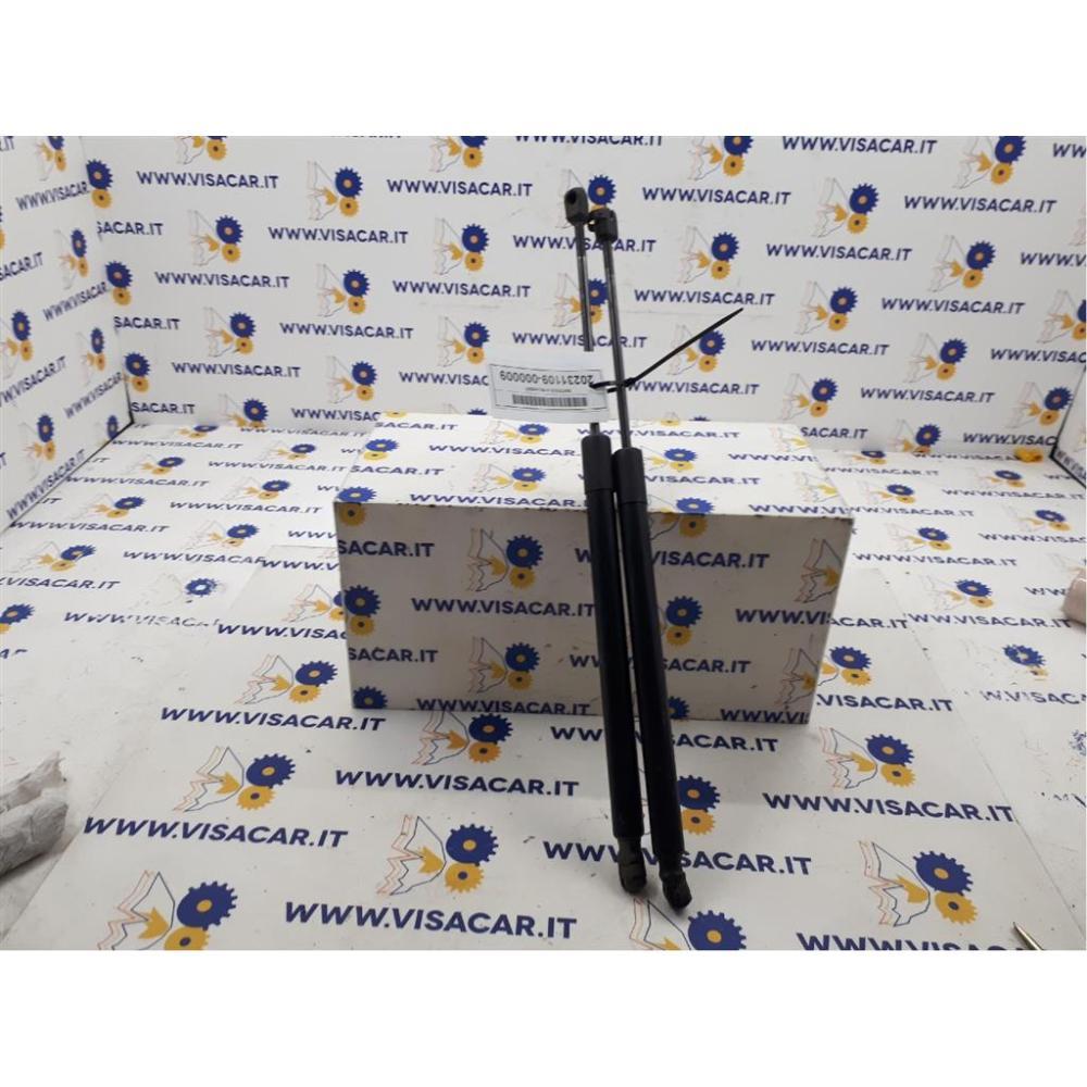 Pistoncini Ammortizzatore Portello Posteriore