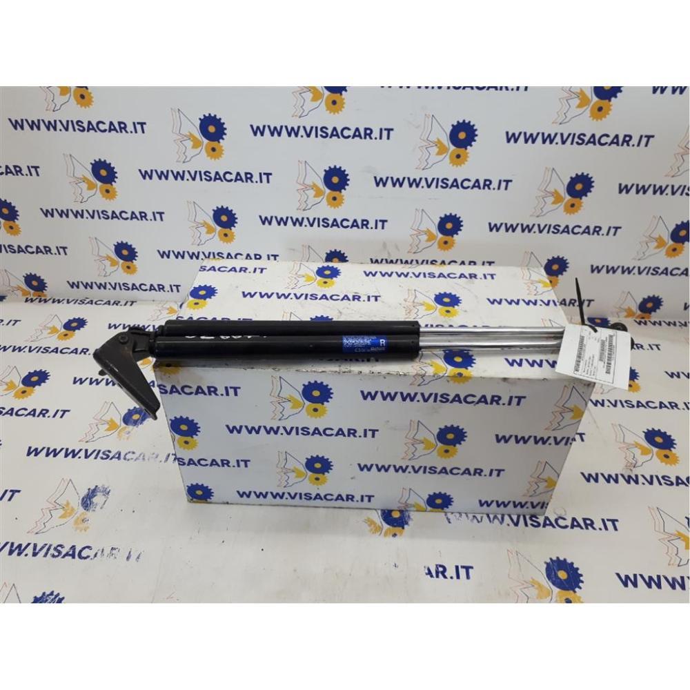 Pistoncini Ammortizzatore Portello Posteriore