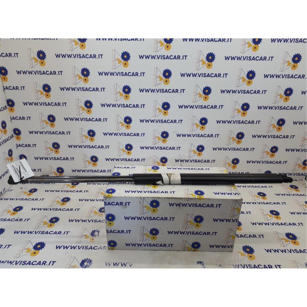 Pistoncini Ammortizzatore Portello Posteriore