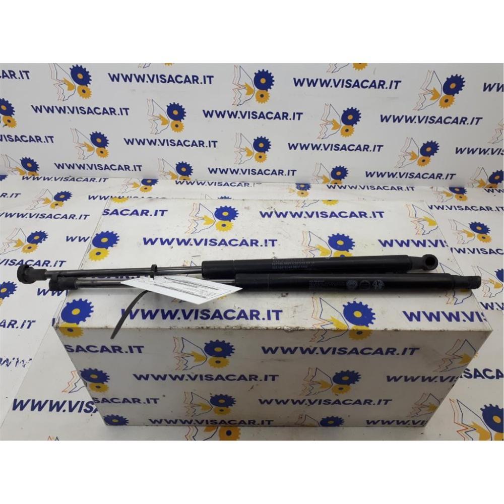 Pistoncini Ammortizzatore Portello Posteriore