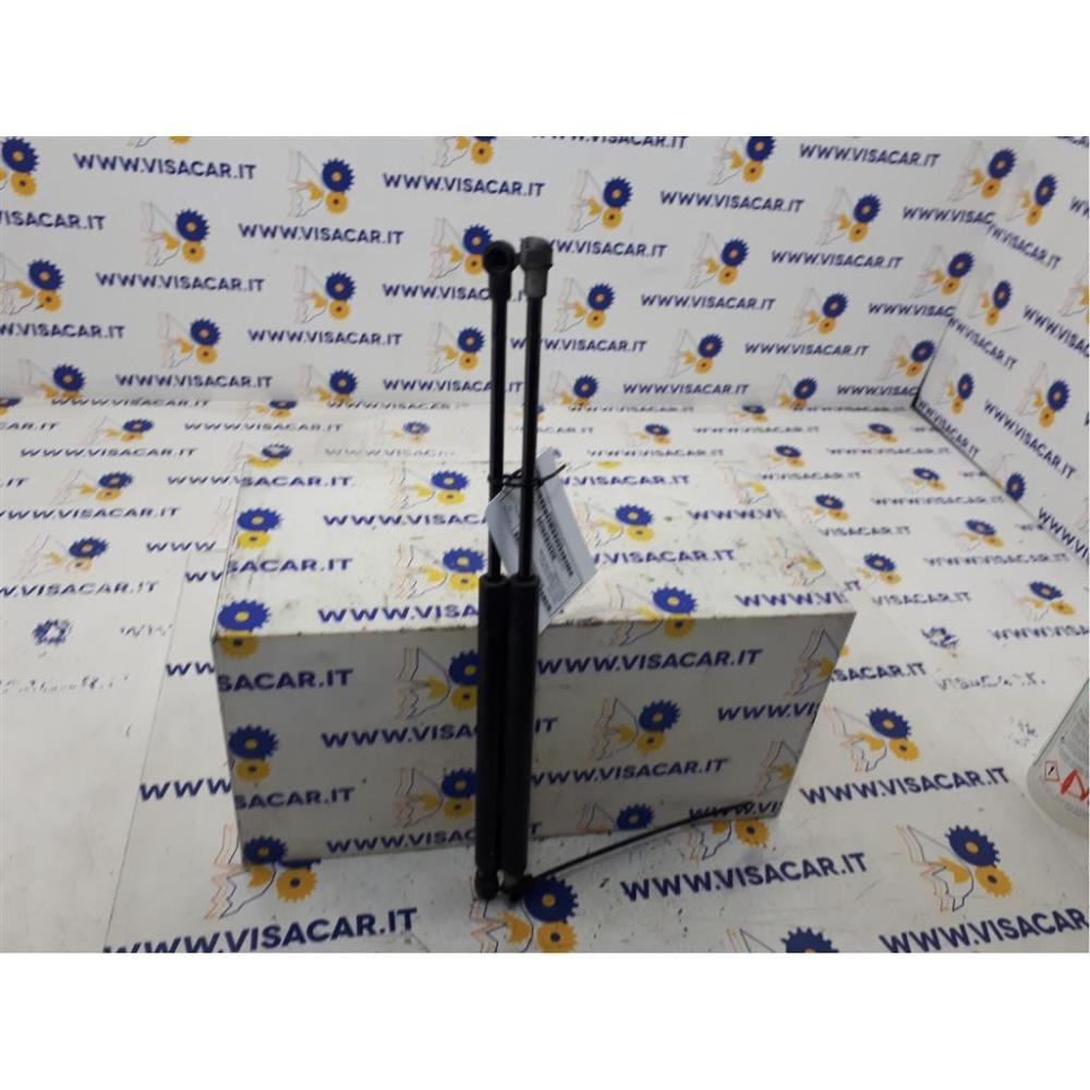 Pistoncini Ammortizzatore Portello Posteriore