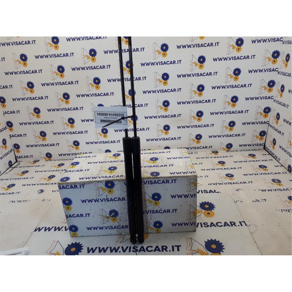 Pistoncini Ammortizzatore Portello Posteriore