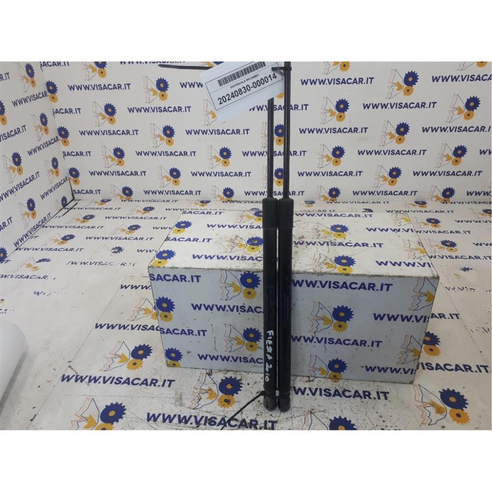 Pistoncini Ammortizzatore Portello Posteriore