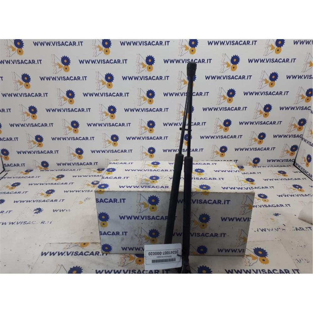 Pistoncini Ammortizzatore Portello Posteriore