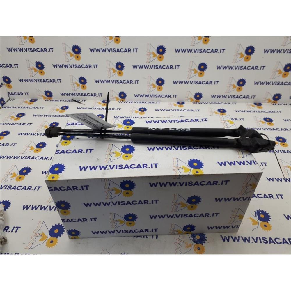 Pistoncini Ammortizzatore Portello Posteriore