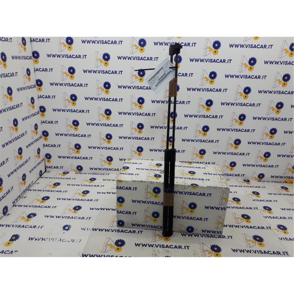 Pistoncini Ammortizzatore Portello Posteriore