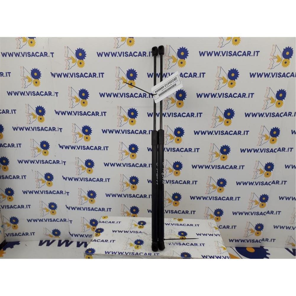 Pistoncini Ammortizzatore Portello Posteriore