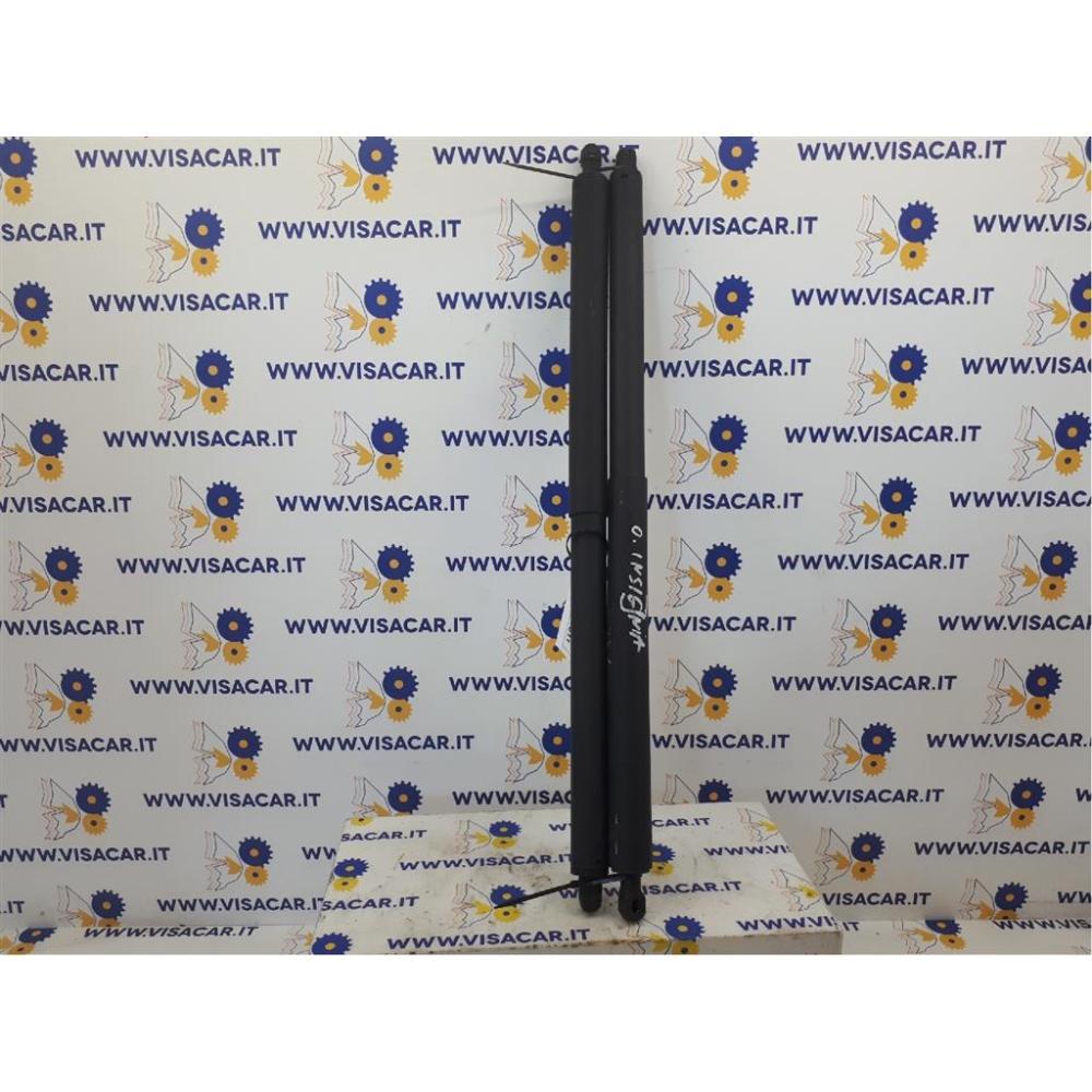 Pistoncini Ammortizzatore Portello Posteriore