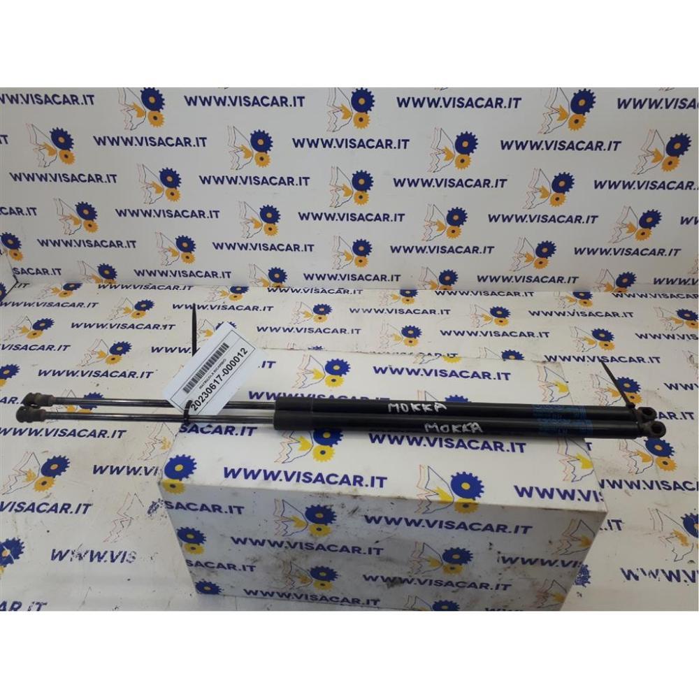 Pistoncini Ammortizzatore Portello Posteriore