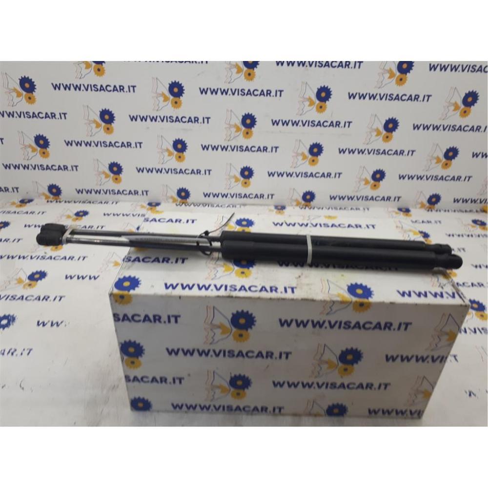 Pistoncini Ammortizzatore Portello Posteriore