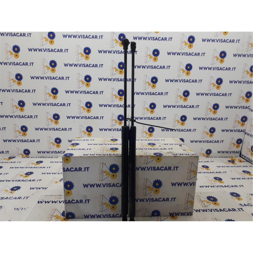 Pistoncini Ammortizzatore Portello Posteriore