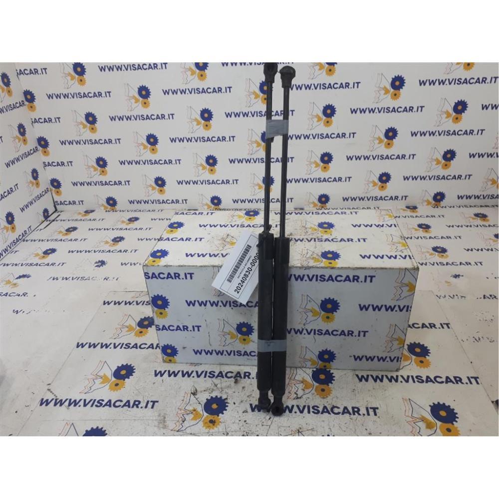 Pistoncini Ammortizzatore Portello Posteriore