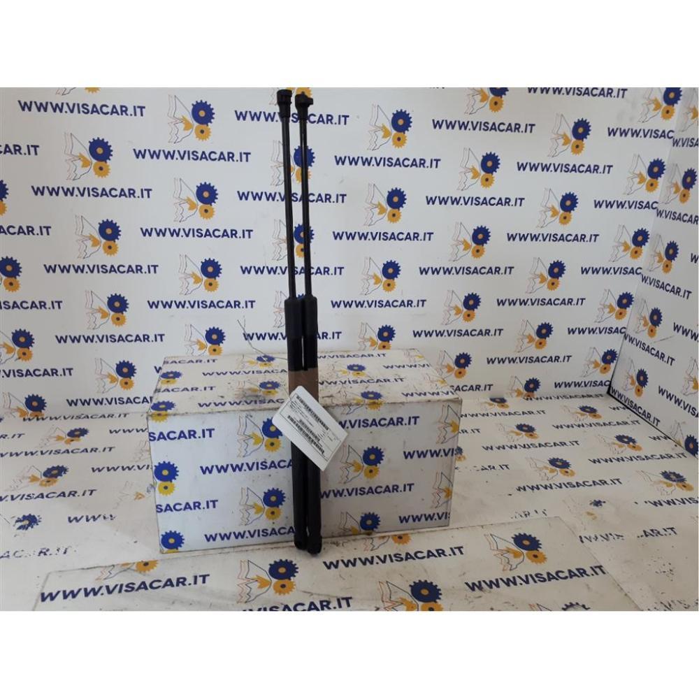 Pistoncini Ammortizzatore Portello Posteriore