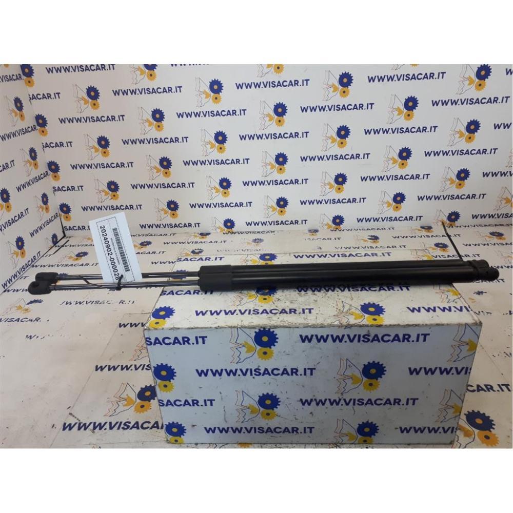 Pistoncini Ammortizzatore Portello Posteriore