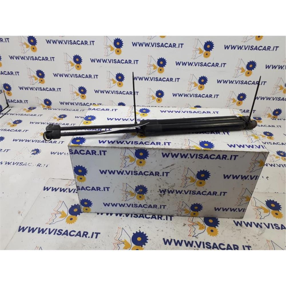 Pistoncini Ammortizzatore Portello Posteriore