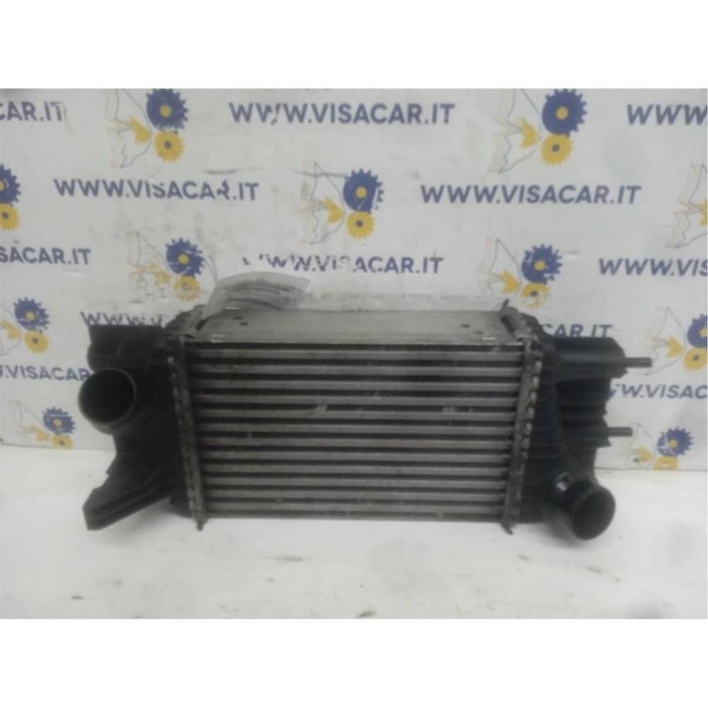 Intercooler Usato Dal 2010 Al 2018 Nissan Juke «I» (2010)