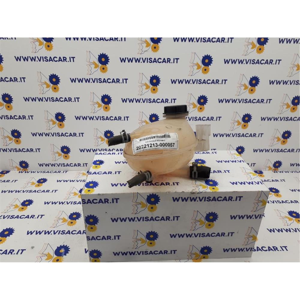 Vaschetta Acqua Usato Dal 2017 Ford Ecosport (2017)