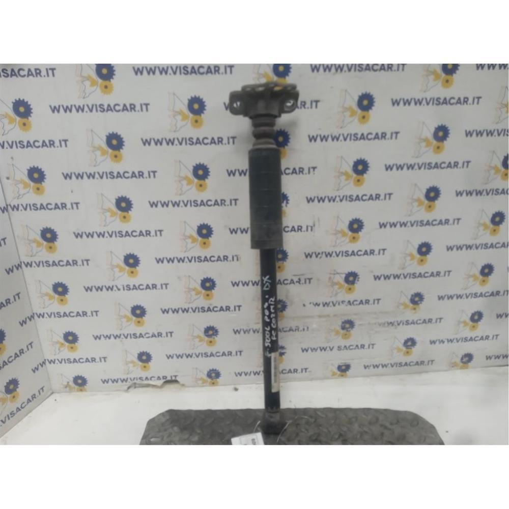 Ammortizzatore Posteriore Destro Usato Dal 2012 Al 2018 Fiat 500L (2013)