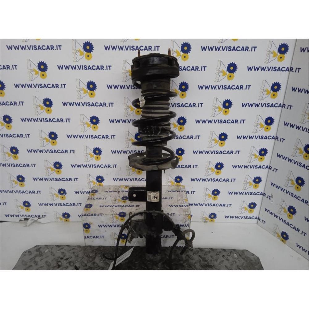 Ammortizzatore Posteriore Destro Usato Land Rover Range Rover Evoque «I» (2011)