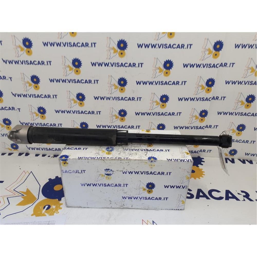 Ammortizzatore Posteriore Sinistro Usato Dal 2017 Ford Fiesta «Vii» (2017)