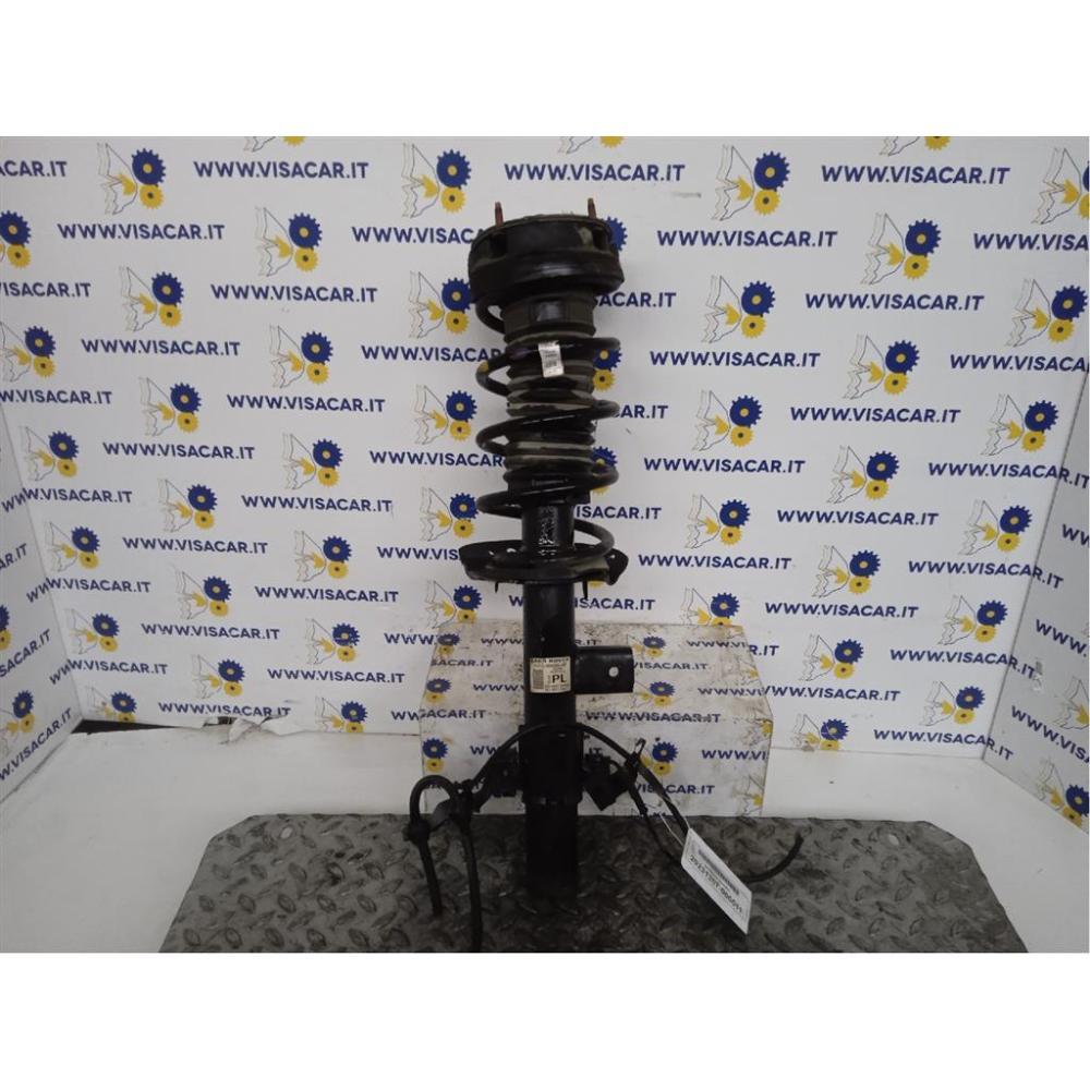 Ammortizzatore Posteriore Sinistro Usato Land Rover Range Rover Evoque «I» (2011)