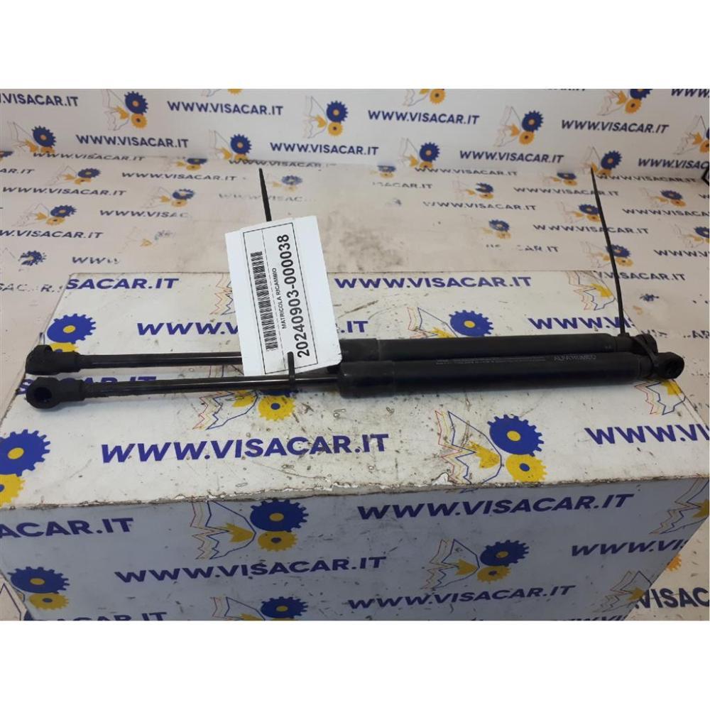 Asta Cofano Anteriore Usato Dal 2012 Fiat 500L (2013)