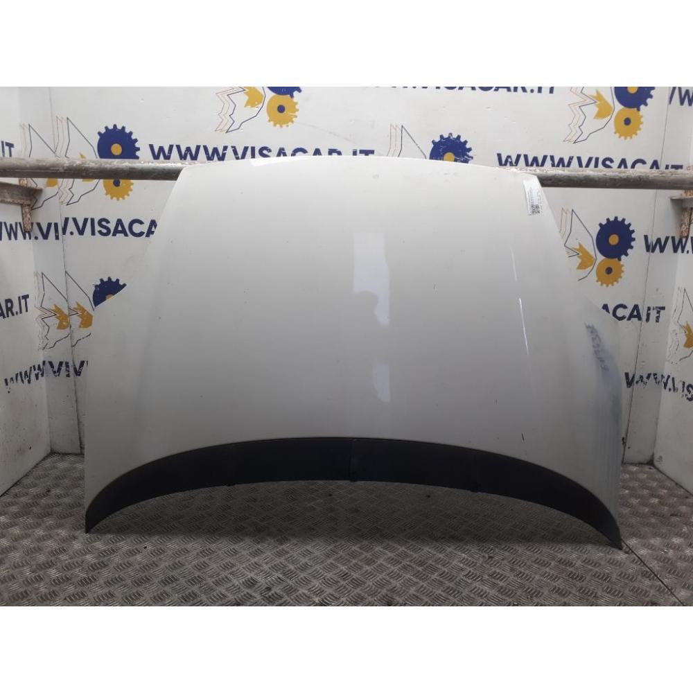 Cofano Anteriore Usato Dal 2010 Al 2011 Fiat Punto Evo (2010)