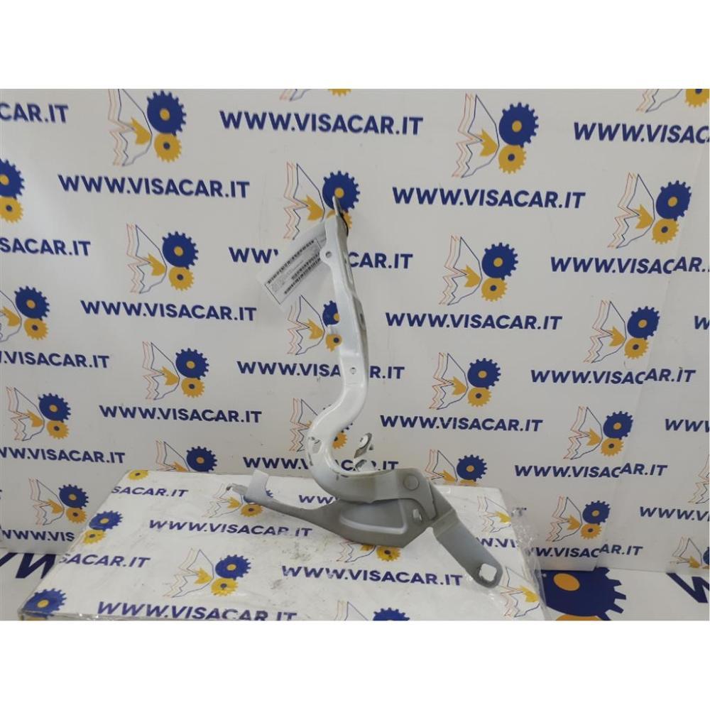 Cerniera Cofano Anteriore Sinistro Usato Dal 2019 Peugeot 208 «Ii» (2019)