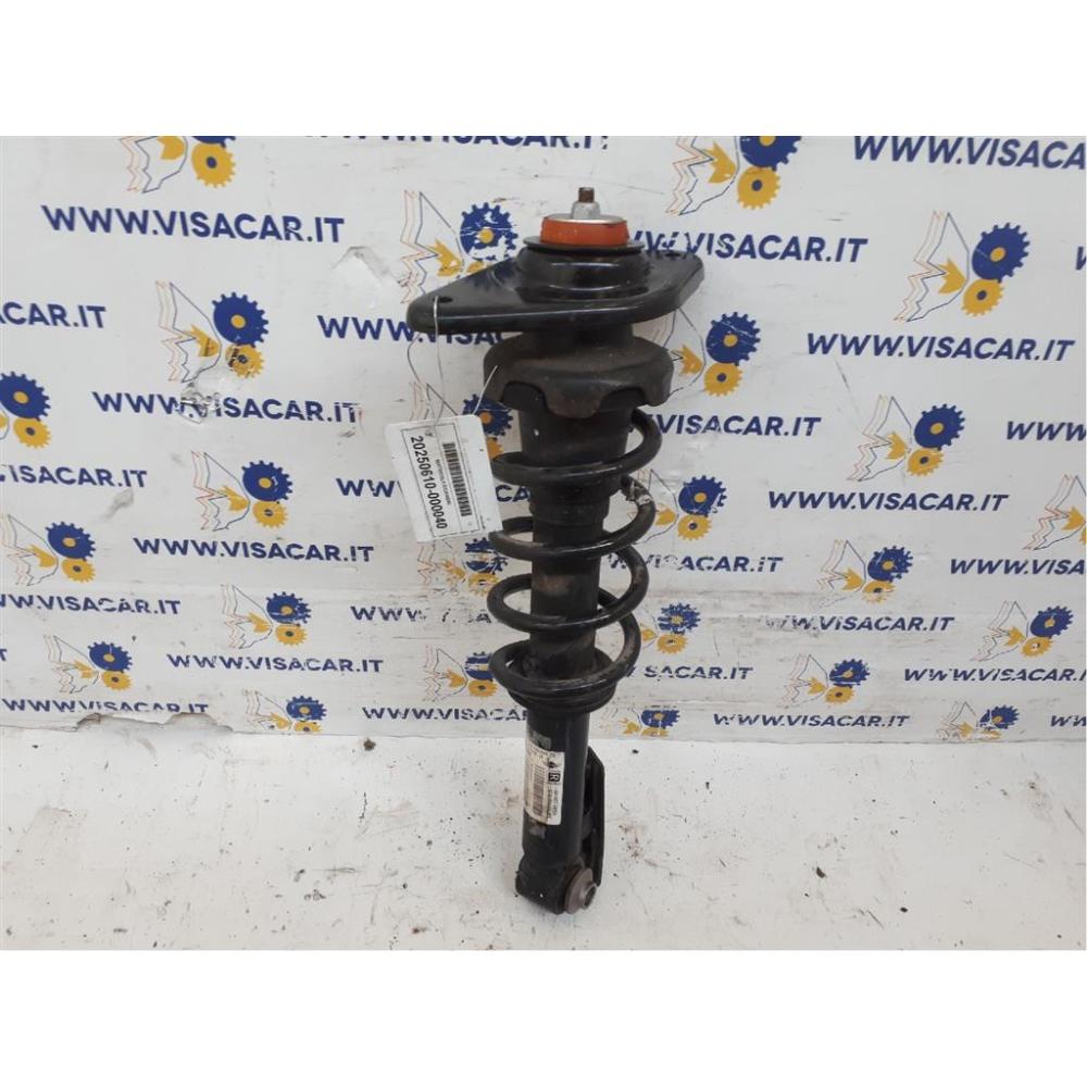 Ammortizzatore Posteriore Sinistro Usato Mini Countryman Cooper «R60» (2010)