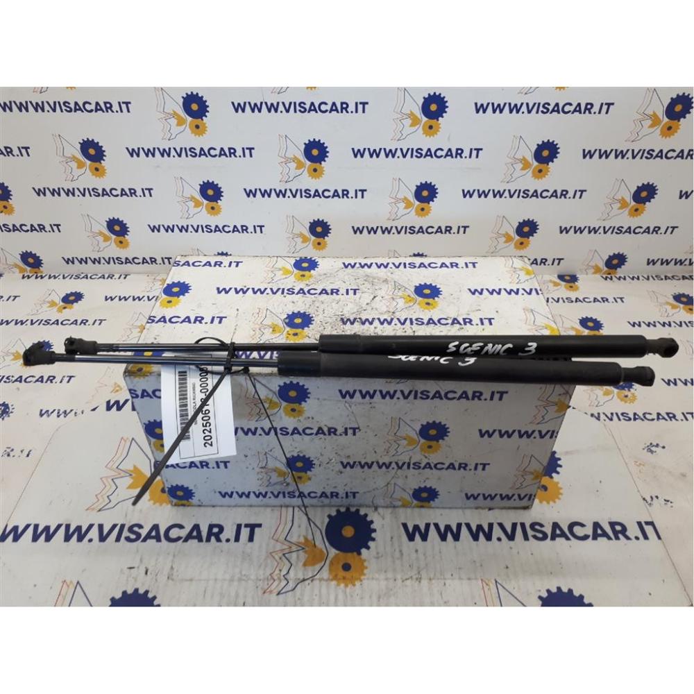 Pistoncini Ammortizzatore Portello Posteriore Usato Dal 2008 Renault Mégane «Iii» (2009)