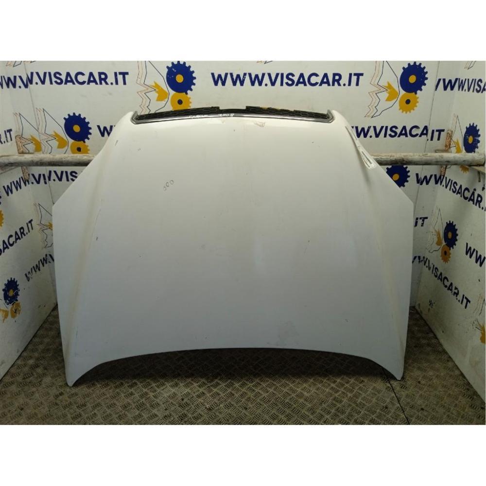 Cofano Anteriore Usato Dal 2006 Al 2011 Chevrolet Captiva «I» (2007)