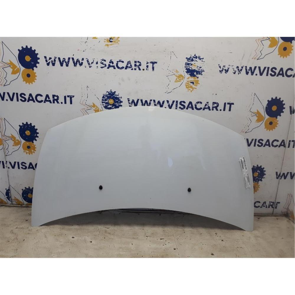 Cofano Anteriore Usato Dal 2009 Renault Clio «Iii» (2006)