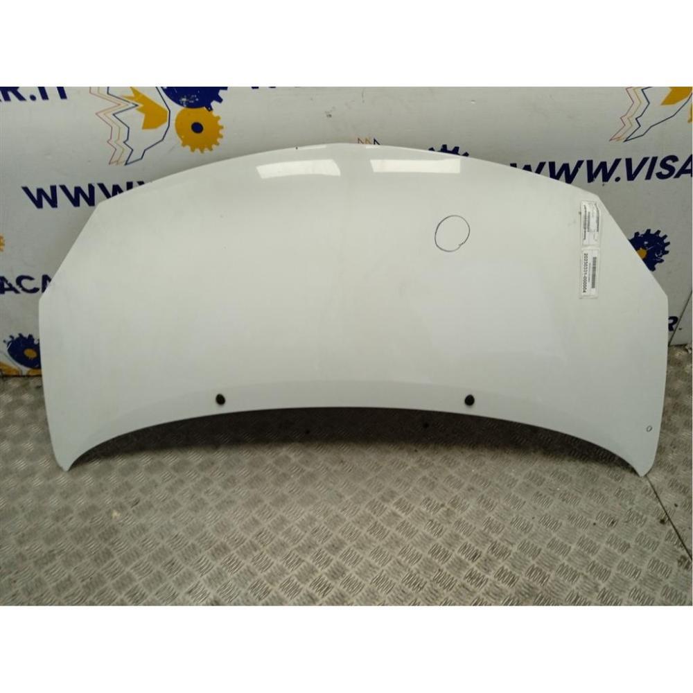 Cofano Anteriore Usato Dal 2011 Renault Twingo «Ii» (2012)