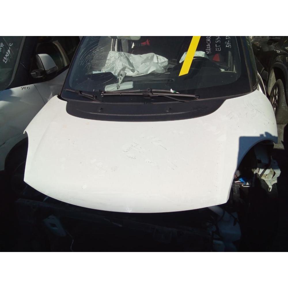 Cofano Anteriore Usato Dal 2012 Al 2017 Fiat 500L (2013)