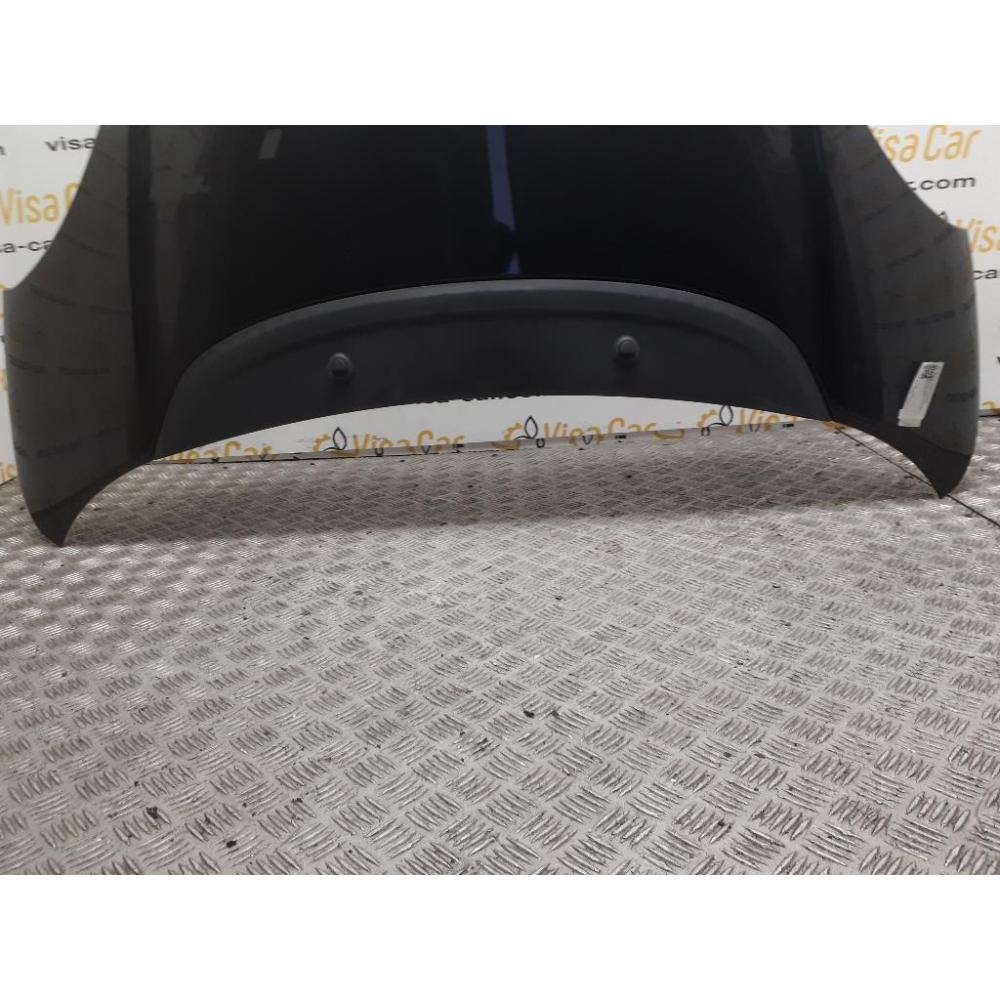 Cofano Anteriore Usato Dal 2012 Al 2017 Fiat 500L (2013)