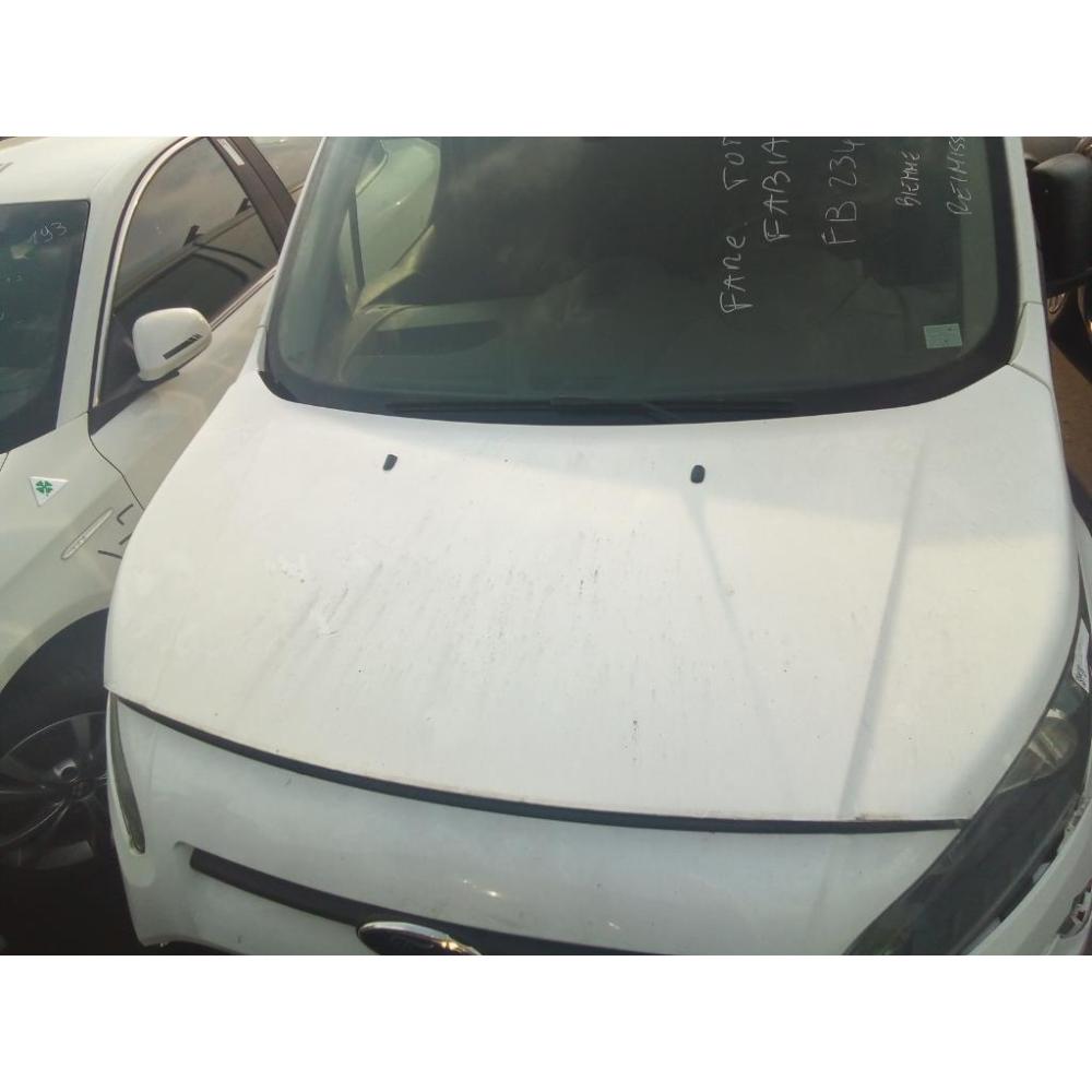 Cofano Anteriore Usato Dal 2013 Al 2018 Ford Transit Connect «Ii» (2014)