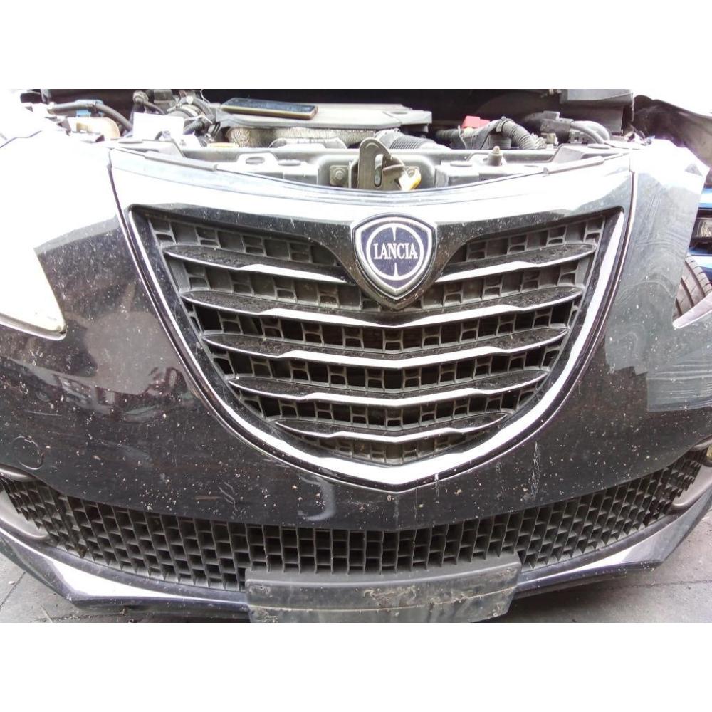 Griglia Radiatore Usato Dal 2011 Al 2015 Lancia Ypsilon «Iii» (2011)