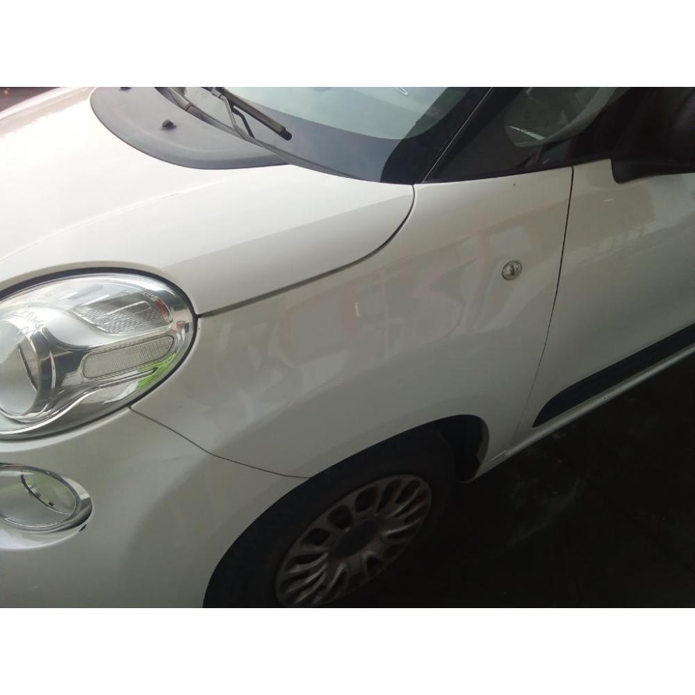 Parafango Anteriore Sinistro Usato Dal 2012 Al 2017 Fiat 500L (2013)