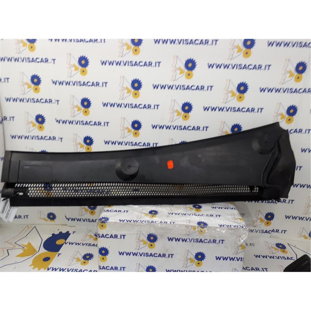 Griglia Sotto Parabrezza Usato Dal 2017 Citroen C3 Aircross (2017)