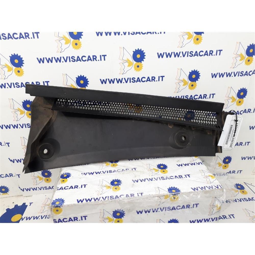 Griglia Sotto Parabrezza Usato Dal 2017 Citroen C3 Aircross (2017)